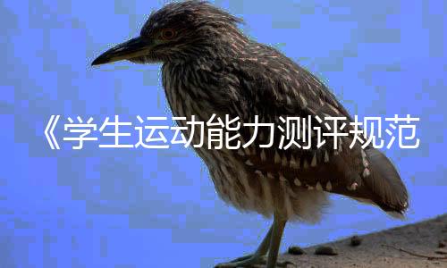 《學(xué)生運(yùn)動(dòng)能力測評(píng)規(guī)范》國家標(biāo)準(zhǔn)如何重塑體育課？