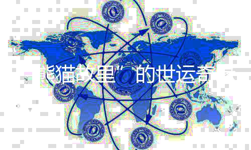 “熊貓故里”的世運奇緣:像愛大熊貓一樣愛中國的一切