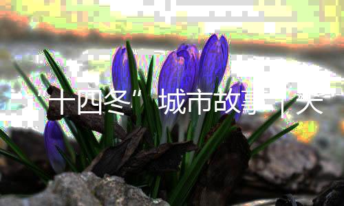 “十四冬”城市故事｜天天都有那達慕，這里是陳巴爾虎旗