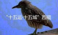 “十五運(yùn)·十五城”西藏林芝波密站全運(yùn)花車(chē)發(fā)車(chē)儀式舉行