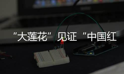 “大蓮花”見(jiàn)證“中國(guó)紅” “絲滑”散場(chǎng)顯溫度