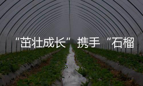 “茁壯成長”攜手“石榴籽”一起做公益 上好體育課，講好普通話