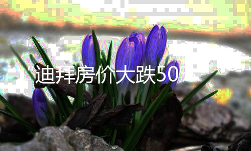“迪拜房價大跌50%”？不屬實(shí)！部分中東家族辦公室已火速赴港，全球投資者的置業(yè)邏輯變了？