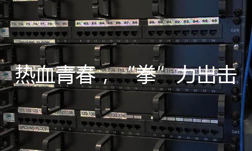 熱血青春，“拳”力出擊 江泰天宇功夫集市青少年搏擊擂臺(tái)賽圓滿落幕