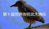 第十屆世界傳統(tǒng)武術(shù)錦標(biāo)賽在峨眉山開幕 李連杰吳京交接形象大使