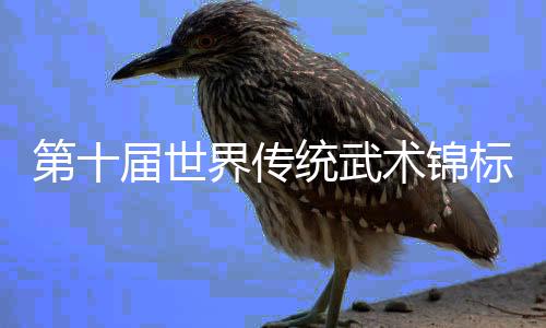 第十屆世界傳統(tǒng)武術(shù)錦標(biāo)賽在峨眉山開幕 李連杰吳京交接形象大使