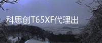 科思創(chuàng)T65XF代理出售PC/ABS上?？扑紕?chuàng)T65XF