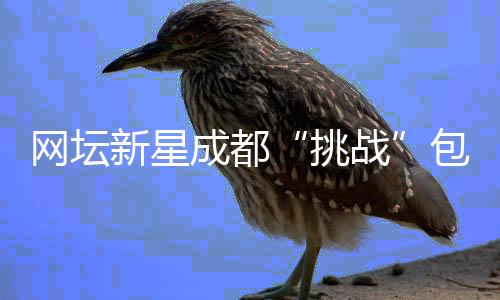 網(wǎng)壇新星成都“挑戰(zhàn)”包餃子 沉浸式體驗(yàn)中國(guó)文化