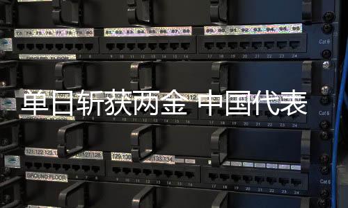 單日斬獲兩金 中國代表團(tuán)創(chuàng)冬殘奧會(huì)境外參賽最佳成績