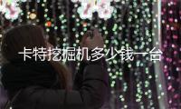 卡特挖掘機(jī)多少錢一臺(tái)