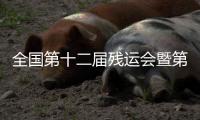 全國(guó)第十二屆殘運(yùn)會(huì)暨第九屆特奧會(huì)跆拳道賽事在廣東惠州收官