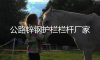 公路鋅鋼護欄欄桿廠家