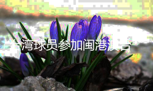 臺(tái)灣球員參加閩港澳臺(tái)“同心杯”籃球邀請賽:以球會(huì)友促交流