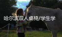 哈爾濱雙人桌椅/學生學習桌椅/中信辦公出品