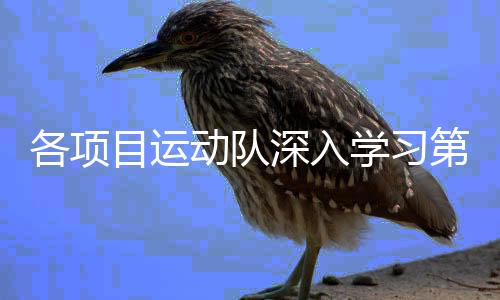 各項(xiàng)目運(yùn)動(dòng)隊(duì)深入學(xué)習(xí)第三十三屆奧運(yùn)會(huì)中國(guó)體育代表團(tuán)報(bào)告會(huì)