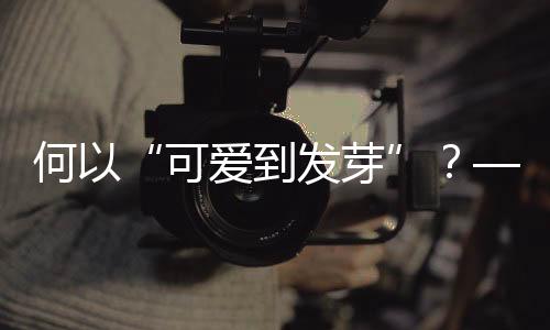 何以“可愛(ài)到發(fā)芽”？——十五運(yùn)會(huì)吉祥物誕生記