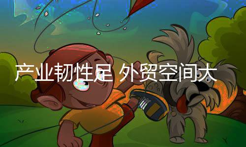 產(chǎn)業(yè)韌性足 外貿(mào)空間大 國(guó)產(chǎn)體育用品“賣”向全球