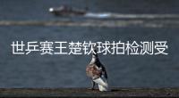 世乒賽王楚欽球拍檢測受損 國際乒聯(lián)回應(yīng)徹查該事件