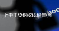上申工貿(mào)鋼絞線銷售(圖)