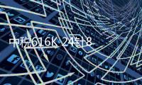 中稅616K 24針82列稅控打印機