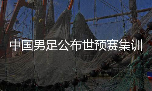 中國男足公布世預(yù)賽集訓(xùn)名單：阿蘭回歸，張玉寧因傷缺席