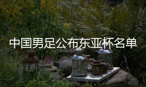 中國(guó)男足公布東亞杯名單 新周期顯現(xiàn)年輕化進(jìn)程
