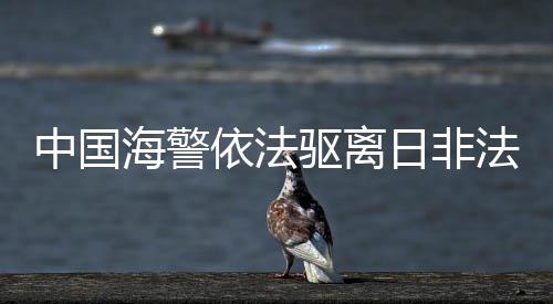 中國(guó)海警依法驅(qū)離日非法進(jìn)入我釣魚(yú)島領(lǐng)海船只