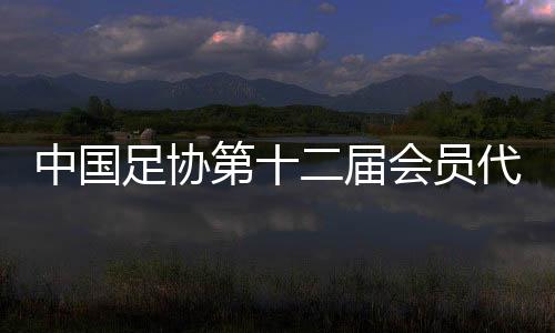中國足協(xié)第十二屆會(huì)員代表大會(huì)第三次會(huì)議在京召開