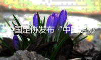 中國足協(xié)發(fā)布“中國足協(xié)球員自薦系統(tǒng)” 自薦、選拔如何進(jìn)行？