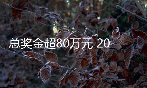 總獎金超80萬元 2025郴州“林丹杯”羽毛球公開賽7月揮拍