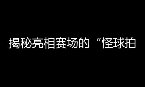 揭秘亮相賽場的“怪球拍”：瑞典選手的球拍為何是六邊形？