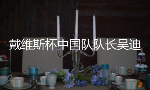 戴維斯杯中國隊隊長吳迪冀將最好的狀態(tài)發(fā)揮出來