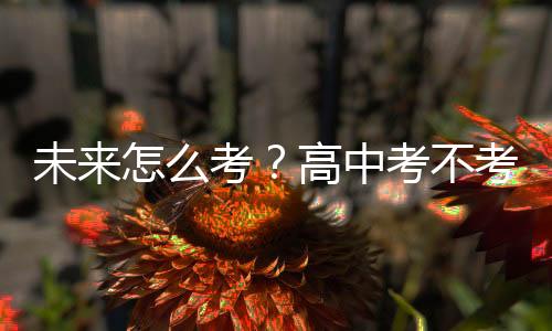 未來怎么考？高中考不考？——體育中考改革觀察之三