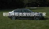 朝陽(yáng)鐵板類廢鐵回收廠家“本信息長(zhǎng)期有效”