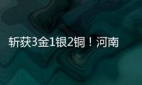 斬獲3金1銀2銅！河南選手出彩2025年全國跆拳道冠軍總決賽