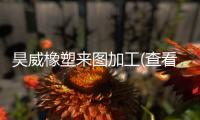 昊威橡塑來圖加工(查看)
