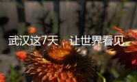 武漢這7天，讓世界看見“無畏金蘭”