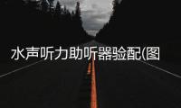 水聲聽力助聽器驗(yàn)配(圖)
