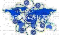 江盾門業(yè)款式多樣(圖)