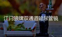 江門狼牌雙通道輸尿管鏡