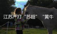 江蘇嚴(yán)打“蘇超”“黃?！保旱谒妮嗁愂鹿沧カ@105人