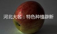 河北大名：特色種植辟新路 大棚鮮花助農(nóng)增收