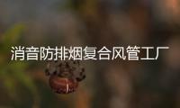 消音防排煙復(fù)合風(fēng)管工廠