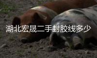 湖北宏晟二手封膠線多少錢