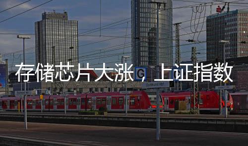 存儲(chǔ)芯片大漲，上證指數(shù)“金針探底”，高手怎么看？