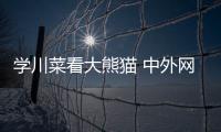 學(xué)川菜看大熊貓 中外網(wǎng)球運(yùn)動員愛上成都安逸慢生活