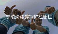 寧陵烤漆鋅鋼護(hù)欄柵欄