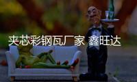 夾芯彩鋼瓦廠家 鑫旺達(dá) 凈化彩鋼瓦型號