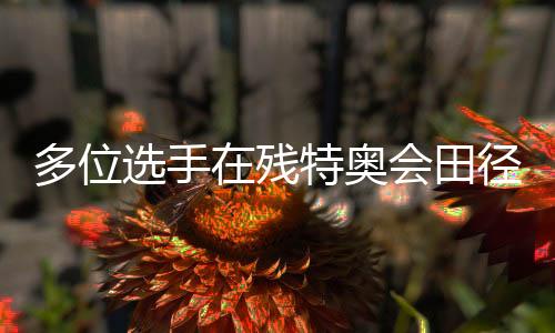 多位選手在殘?zhí)貖W會(huì)田徑（馬拉松）項(xiàng)目刷新全國紀(jì)錄