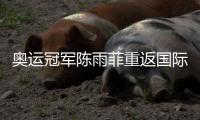 奧運(yùn)冠軍陳雨菲重返國(guó)際賽場(chǎng)：很開心能重新為國(guó)而戰(zhàn)